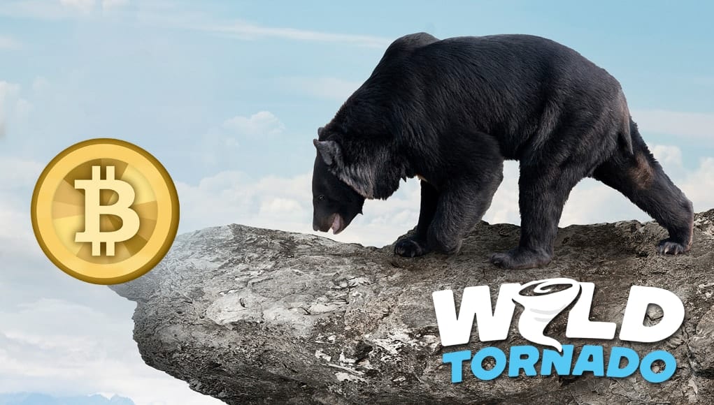 ^047DE60E1FB1A820BFE527012E4389CD275B4908B4B98C94C8^pimgpsh_fullsize_distr