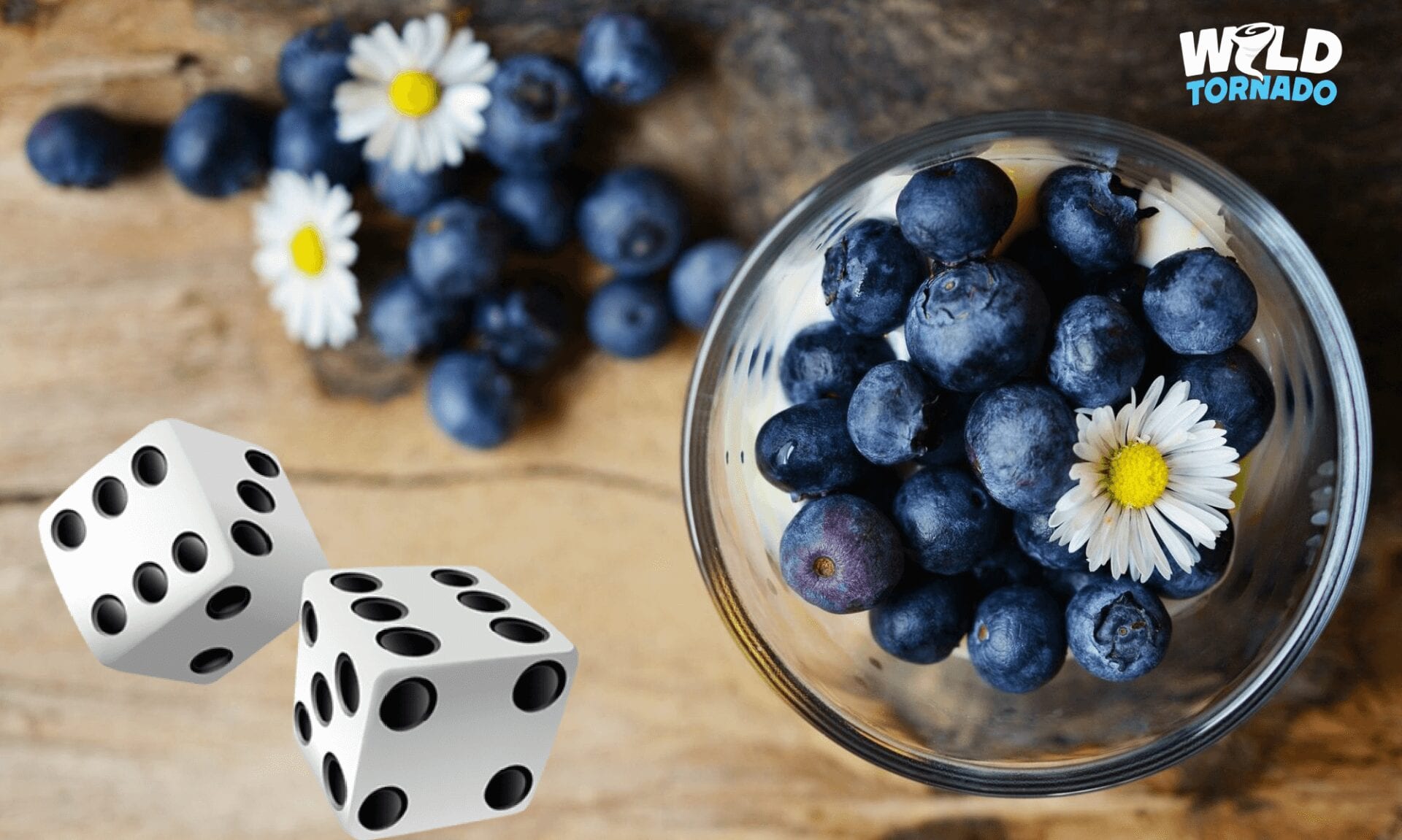 cropped-blueberries-2278921_1920-e1513166992460 (1)